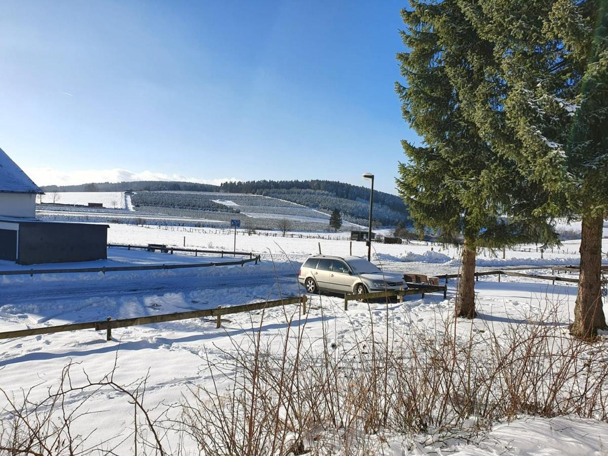 Ferienhaus Kuestelnest Medebach Zewnętrze zdjęcie